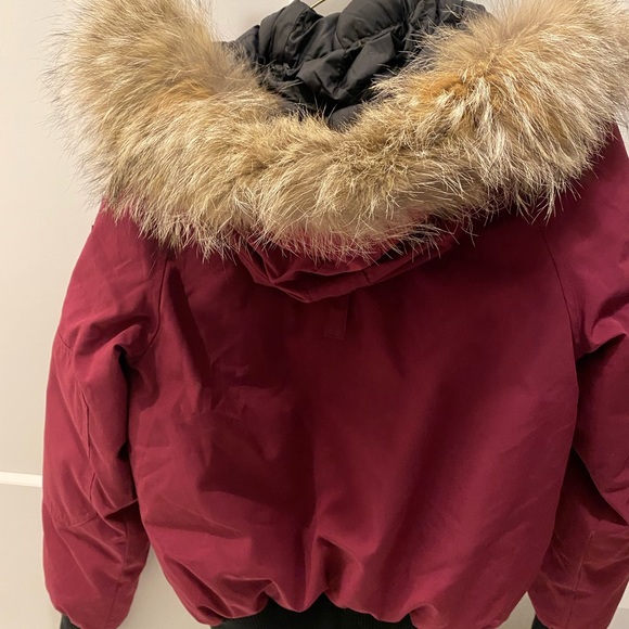 Canada Goose Chiliwack Bomber - Picture 4 of 5